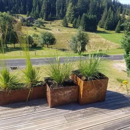 Chalet Les Vosgiennes Le Valtin Εξωτερικό φωτογραφία