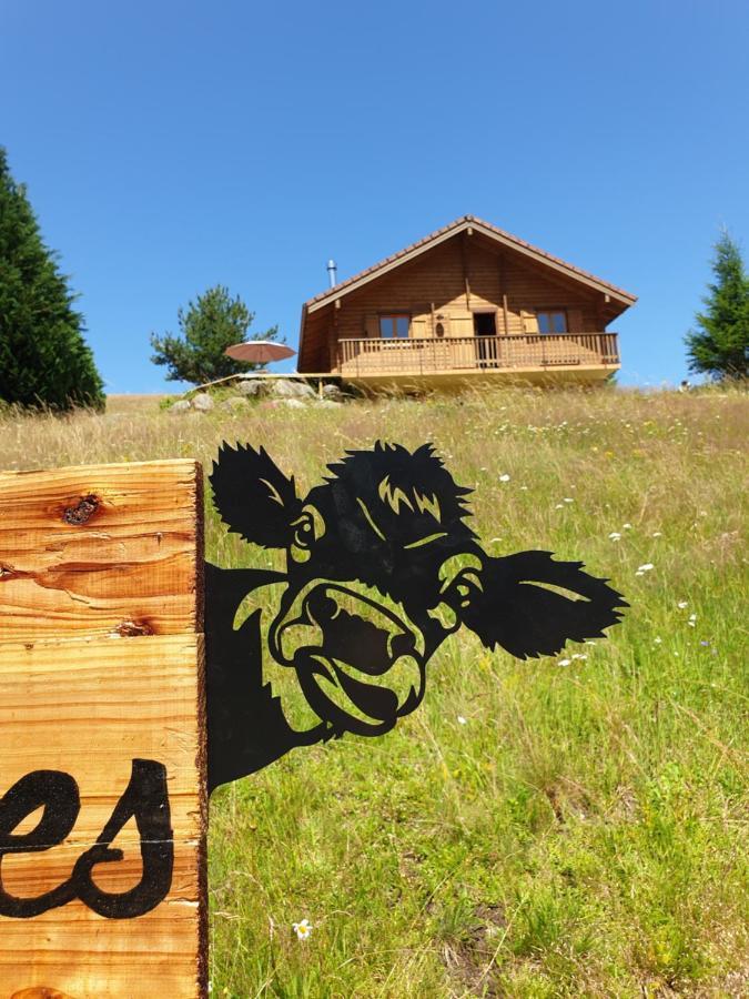 Chalet Les Vosgiennes Le Valtin Εξωτερικό φωτογραφία