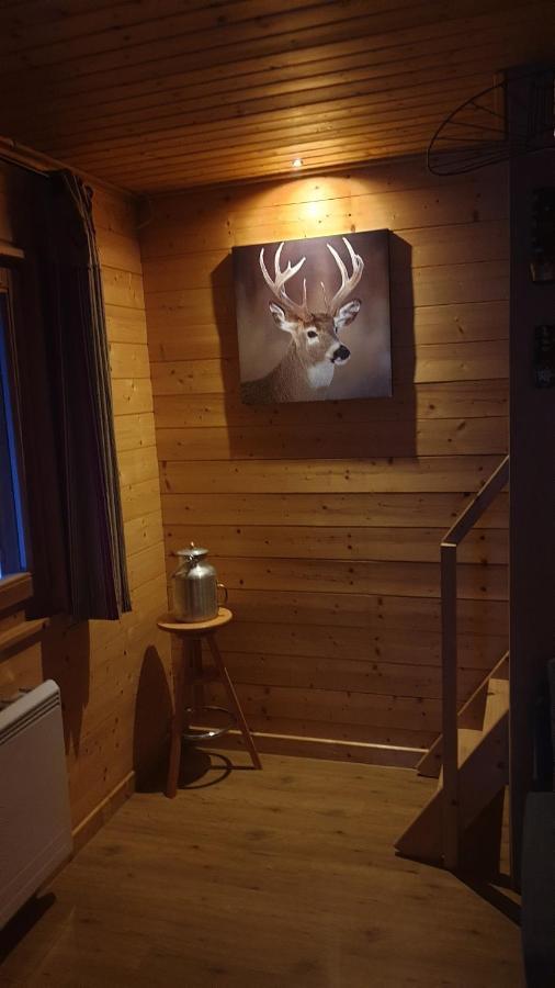 Chalet Les Vosgiennes Le Valtin Εξωτερικό φωτογραφία